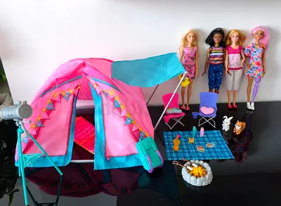Barbie Camping Set with 4 dolls