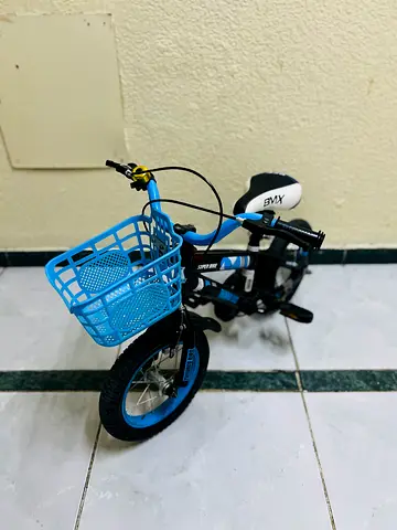 Kids blue 12-inch bicycle with training wheels and front basket- Thunderbird