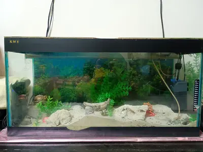 Glass Aquarium Tank with Filtration and Decor