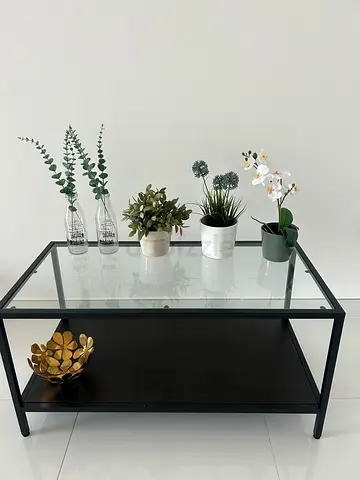 Bundle of plants with pots