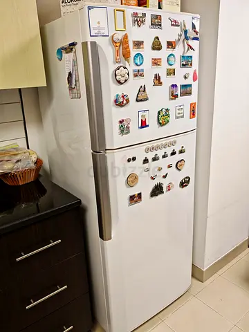 White two-door refrigerator with freezer (good working condition)