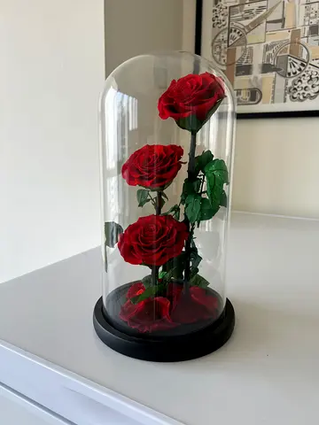 Stunning real infinity Red Rose in glass vitrine Decoration (Like New)