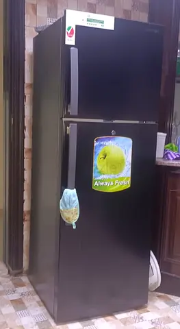Black Top Freezer Refrigerator