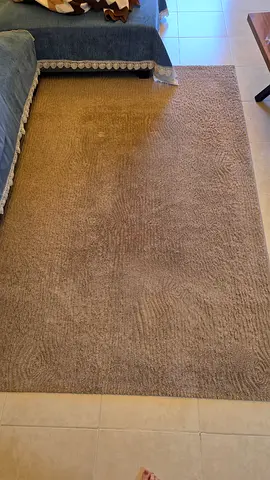 Beige Solid-Color Living Room Rug - Good Condition
