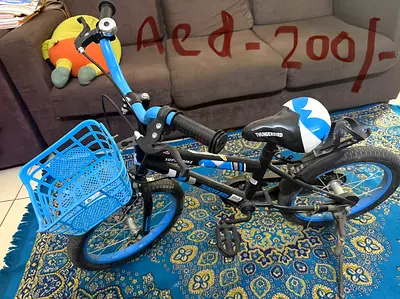 Kids Thunderbird 18-inch Bicycle with Basket and Training Wheels - Good Condition