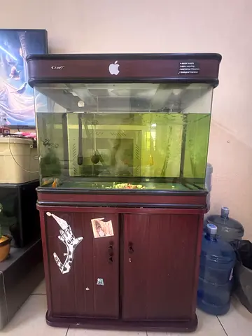 Fish aquarium - Used