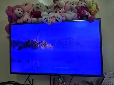 Lg smart tv 43 inch fully working confition
