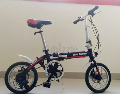 Folding Bike