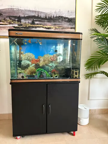 Used Aquarium with Wooden Stand  Storage Cabinet – Complete Ready Setup
Size: 77 x 107 cm
Original