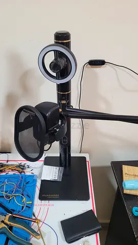 Shure-style Studio Condenser Microphone with Pop Filter and Boom Arm