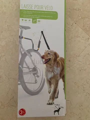 Hands-free bike leash attachment for dogs (like Trixie Bike Leash)