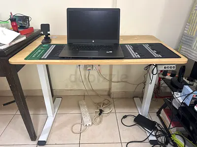 Electric Height Adjustable Standing Desk - Light Wood Top