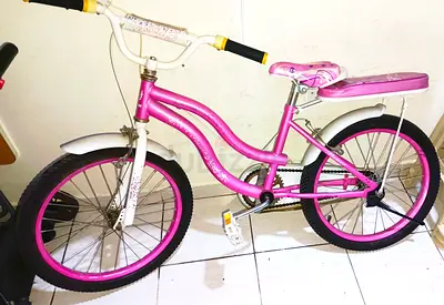 Pink Girls 20  Bike with Rear Seat — Good Condition ready to use