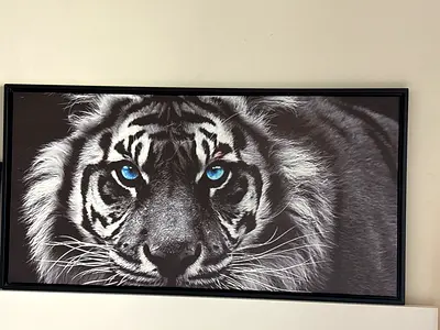 Framed Black  White Tiger Close-Up Wall Art (Large)