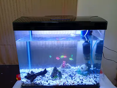 99L LED Fish Aquarium Kit with Filter, and light