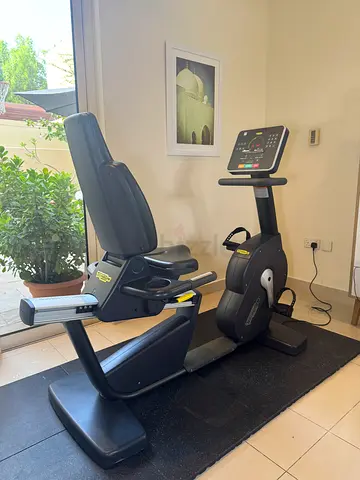 Technogym recumbent bike