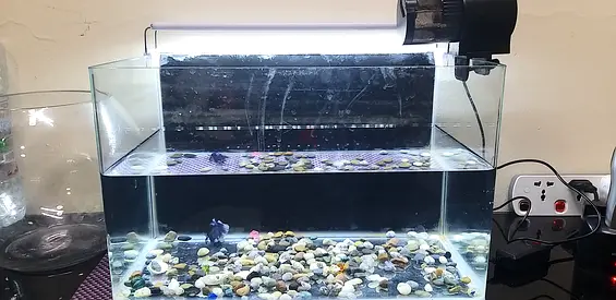 Glass Aquarium Tank with LED Light  ,feeder automatic,  cleaning set and Gravel