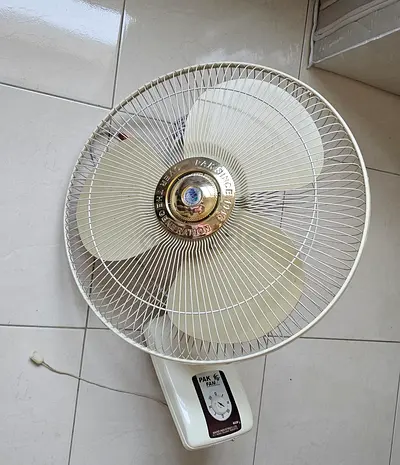 Wall mounted fan