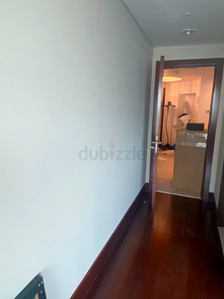 DPV_View_Image_4