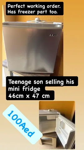 Mini fridge