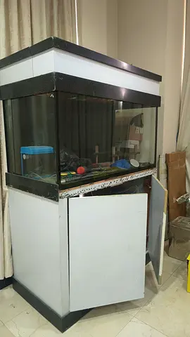Fish pond for sale