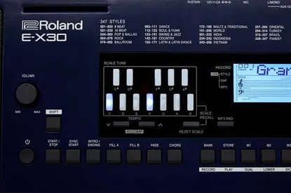 Roland ex 30 oriental