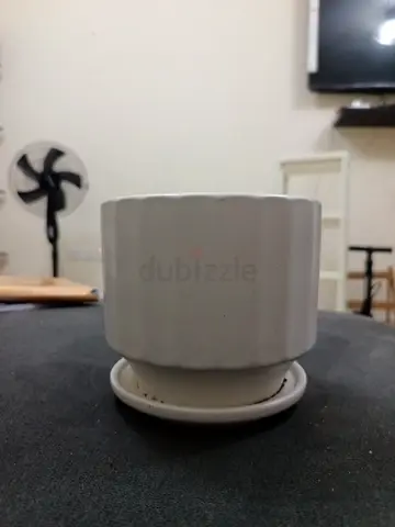 Small White Ceramic Plant Pot with Saucer