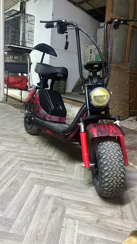 Electric harley