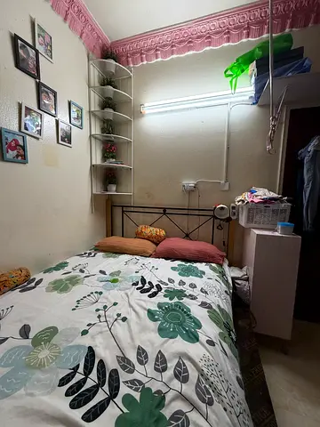 Executive bachelor room  maximum one or two  people looking indian people separate bathroom and kitc