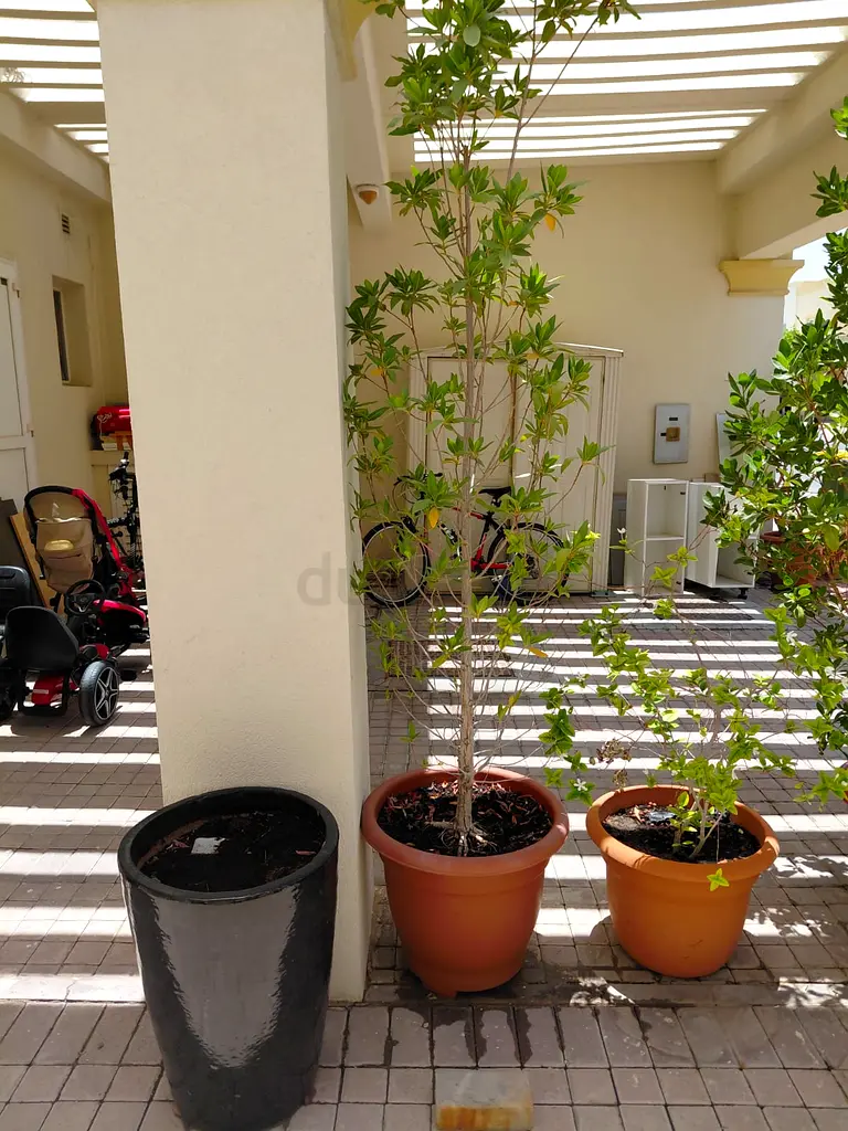 DPV_View_Image_3
