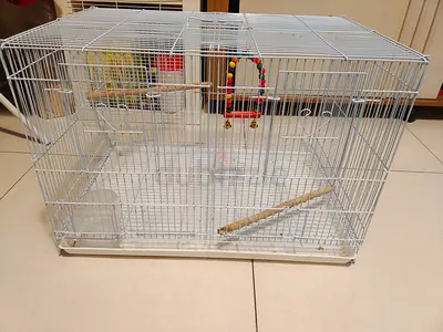 Brand new White metal bird cage with perches and toys