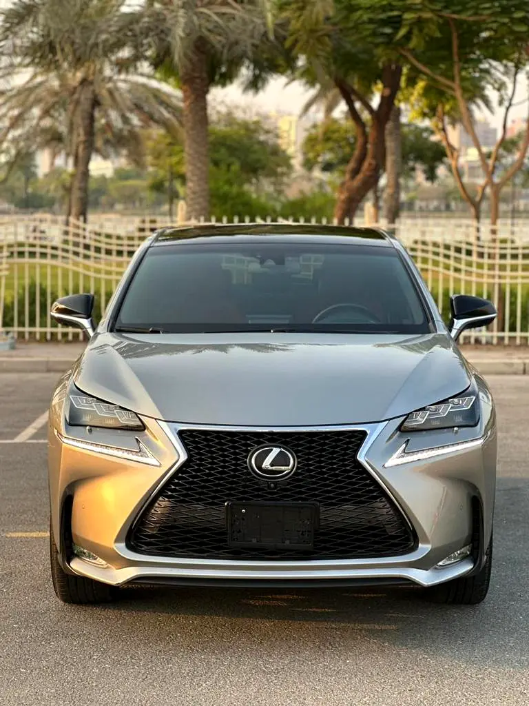 Lexus NX-Series 2017 — photo 1 of 9