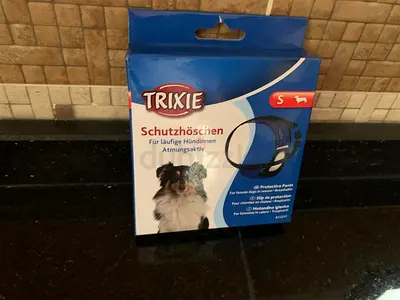 Dog accessories