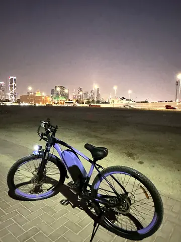 Kugoo V3 E-Bike