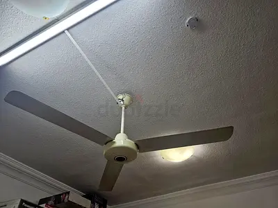 Ceiling Fans - 2 Nos.