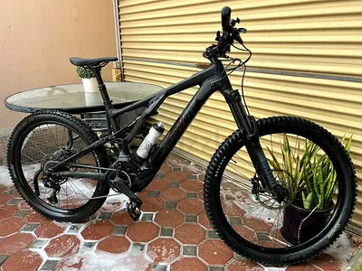 Specialized Levo