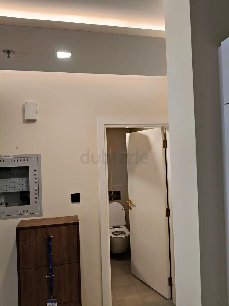 DPV_View_Image_8