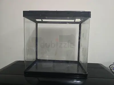 Small Glass Aquarium Tank (Used) - 40x38x26 cm approx