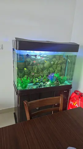 Need to sell Big fish tank (aquarium) price negotiable