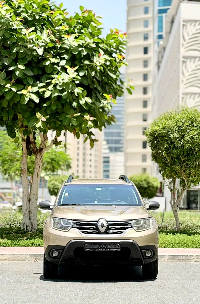Renault Duster 2019 — photo 1 of 7