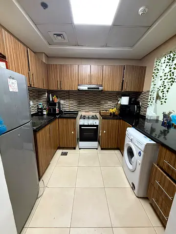 Collection of Home Appliances - Fridge, Cooking Range, and Washer