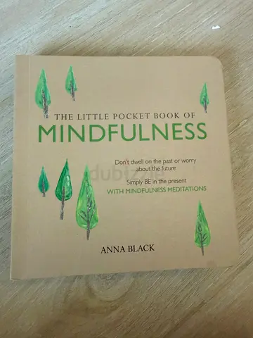 Book - little book of mindfulness