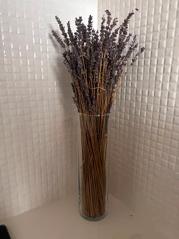 Dried Lavender Stems in Clear Glass Vase - Decorative Bundle