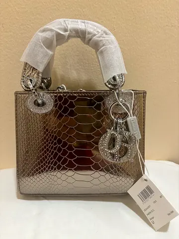 Christian dior bag silver