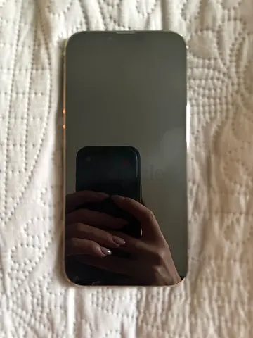 iPhone 13 Pro Max - Good Condition, 1 TR memory (Graphite) - Unlocked