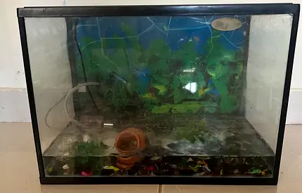 Aquarium