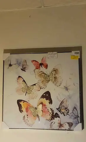 Butterfly Wall Painting with Frame Handmade