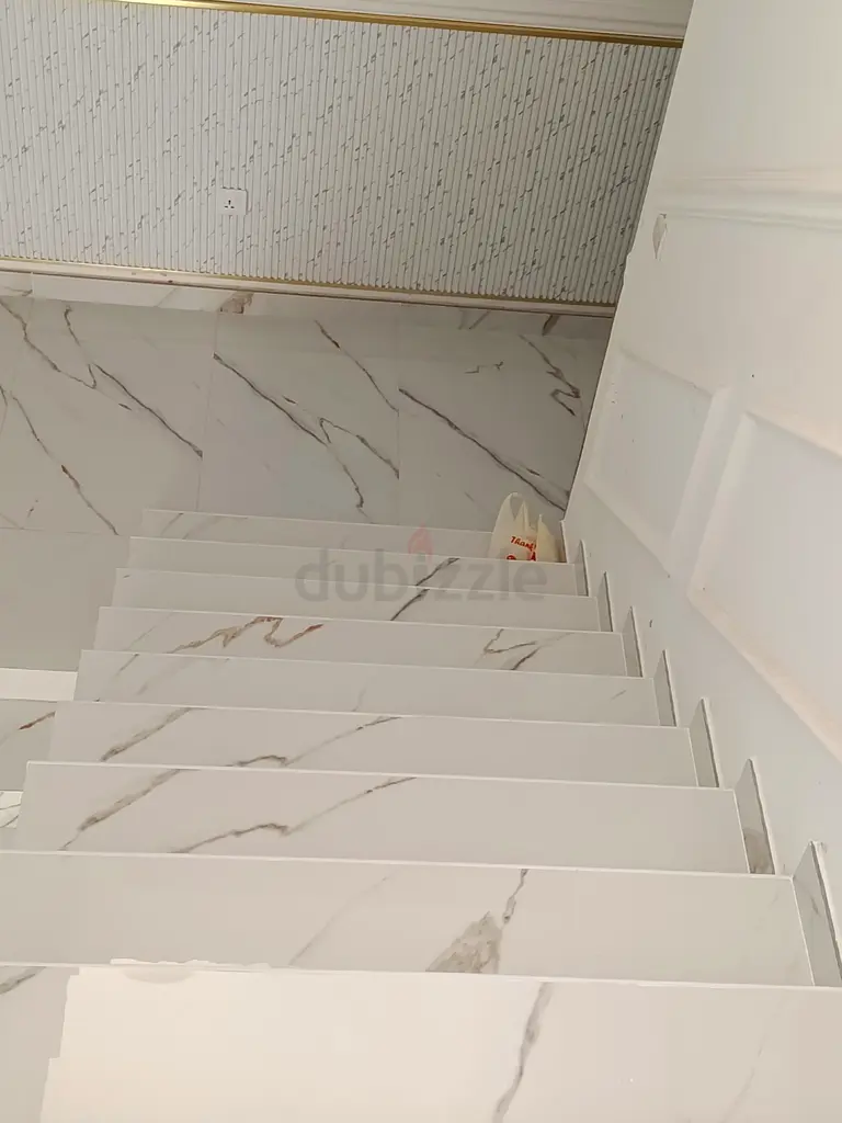 DPV_View_Image_0