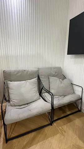 Pair of Modern Metal Frame Lounge Chairs with Cushions