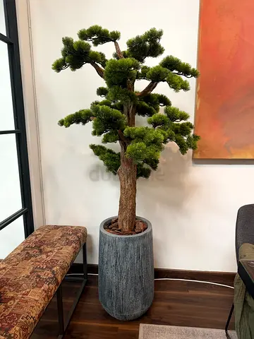 Artificial Bonsai Style Indoor Tree in Grey Planter
